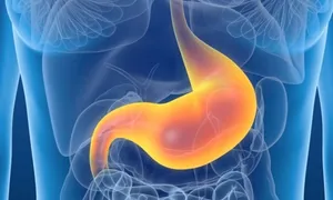 Tại sao axit dạ dày không phá hủy các mô? Tại sao axit dạ dày không phá hủy các mô?