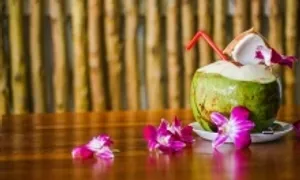 Có nên uống nhiều nước dừa giải khát mùa nắng nóng?