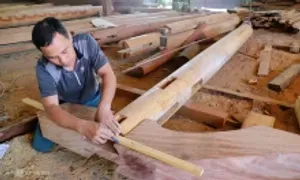 Ngành gỗ Việt thêm lợi thế từ phát thải âm