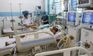 Tổn thương gan do sốt xuất huyết Tổn thương gan do sốt xuất huyết