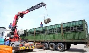 Tài xế, chủ xe bị phạt 333 triệu đồng vì chở quá tải