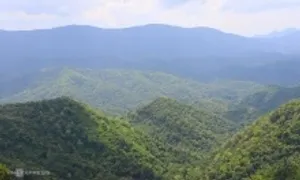 Việt Nam có thể thu 1,9 tỷ USD hàng năm khi bán tín chỉ carbon quốc tế